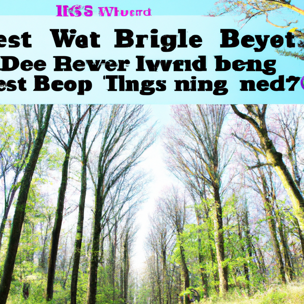 De Bedste Shoppingmuligheder I England