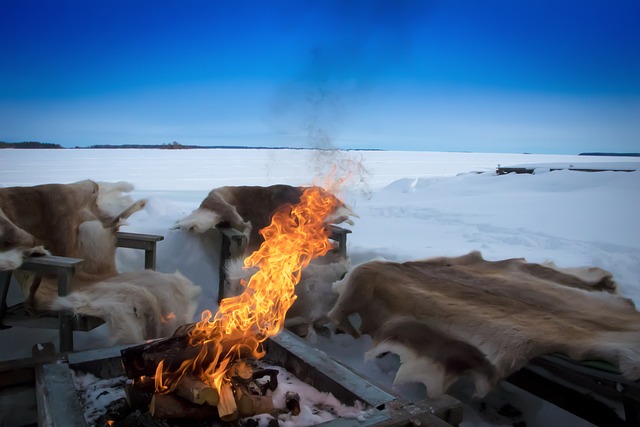 Fra vildmark til velvære: Sådan skaber du et nordisk inspireret hjem med skind